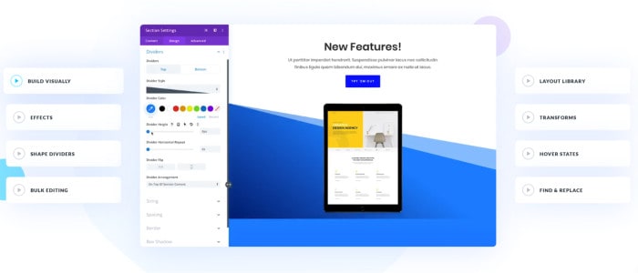 divi review featured image